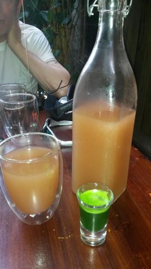 Kombucha and Wheatgrass shot at Mood Food Energy Cafe in Yangshuo