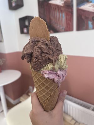   at Arte Vanilla in Amsterdam