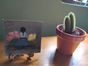 at Vegan Barrio in Merida