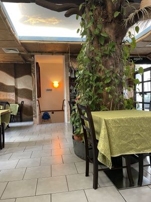   at Abessina in Gottingen