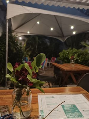 garden at Buena Onda in Natal