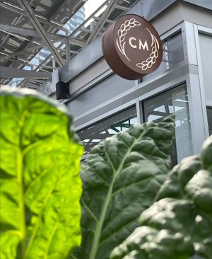  at Casa Macro in Monterrey