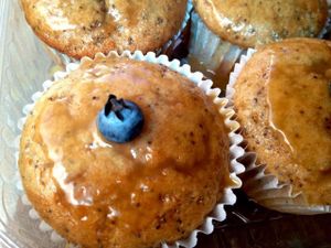 Yummy vegan muffins at Casa Macro in Monterrey