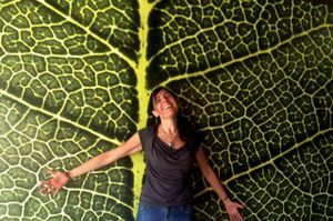 Happy leaf hugger.... at Casa Macro in Monterrey