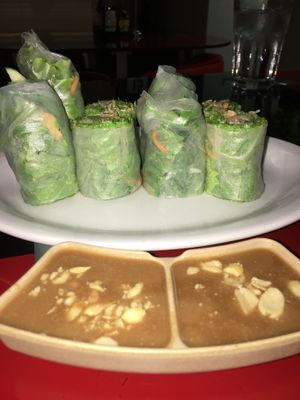 Fresh spring rolls. Soooooo yummy! at Go Vegan in Antioch
