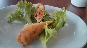 Fried Spring Rolls at Go Vegan in Antioch