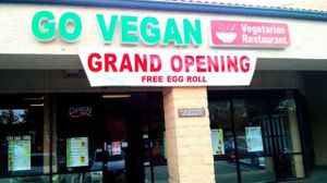 Store Front
It is in a seedy looking almost vacant strip mall with a dollar Saver.  Don't be fooled - this place is very Yummy! at Go Vegan in Antioch