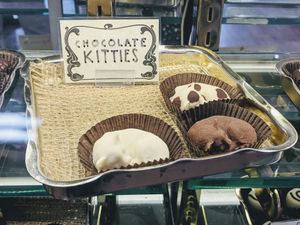 Chocolate kittens at Mama Ganache in San Luis Obispo