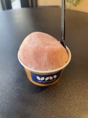 Blood orange gelato with mochia  at Gelateria Uni in Sapporo