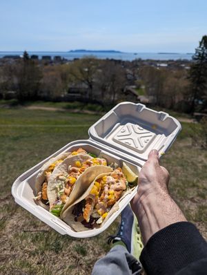 Fish tacos at Hillcrest park at Bonobo's Foods in Thunder Bay