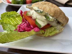 spicy veggie pita sandwich at The Well in Lancaster