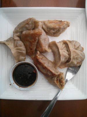 Their 'empanadas' are really pot stickers — and very tasty ones. at Mile Time in Quito