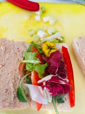 Gluten Free Plantain panini at Elefant Café in Milton Keynes