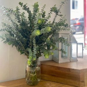  at Sapato Verde in Lisbon