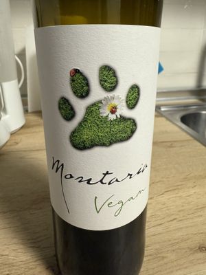 Wonderful wine offered in the cafe and store  at Sapato Verde in Lisbon