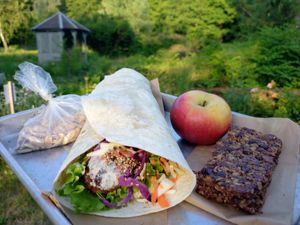 Pique nique végan wrap falafel, barre granola maison, pomme et cacahuète at Ecolieu La Rub - Hôtel La Rubanerie in La Broque