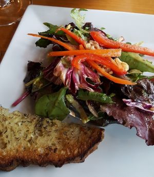 Winter salad + zuccinni noodle alfredo with mushrooms at Viva in Tacoma