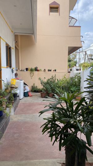 Back patio  at Kaani Nilam - Auroville in Viluppuram
