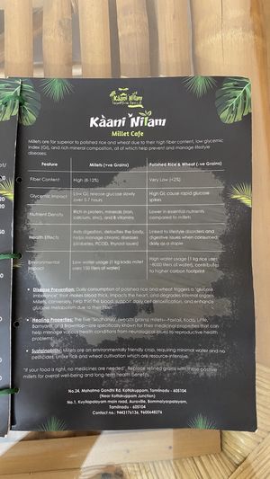 Menu  at Kaani Nilam - Auroville in Viluppuram