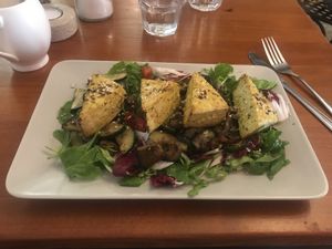 Marinated Tofu with Salad at Tipico in Rovinj