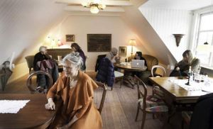   at Den Go'e Fe in Silkeborg