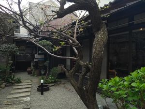 tranquil setting within a busy (touristy) town  at Vegetable Cafe Sorafune in Kamakura