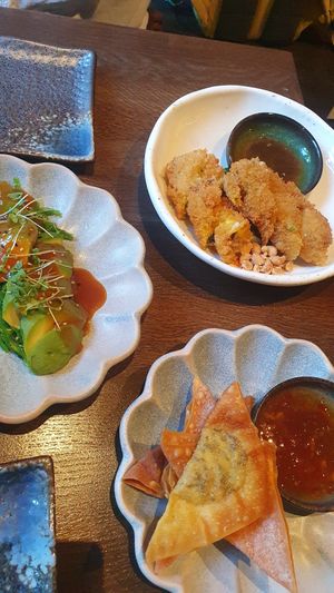 Wantans, Avocado sashimi and fried spring roles at An Vegan Restaurant in Karlsruhe