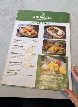Vorspeisen: die frittierten Kochbananen haben wir statt dem Käse mit Guacamole bestellt at Aguacate Latin Food - Mohsgasse in Vienna