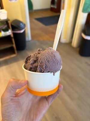 Vegan Blueberry Icecream, small at The Saco Scoop in Saco