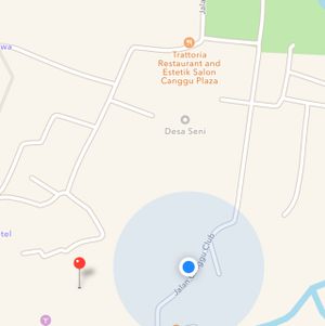 google maps is wrong Blue Dot is where the place is at Banana Leaf Vegan Thai Fusion in Canggu