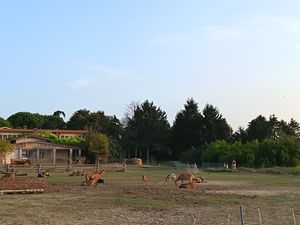 Panorama at Gasía Agricicchetteria in Veneto