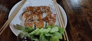 Fresh spring rolls at May Kaidee Chiang Mai in Chiang Mai