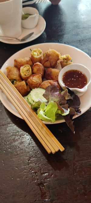 Deep fried spring rolls at May Kaidee Chiang Mai in Chiang Mai