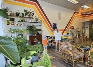   at The Den Juice Co in Goderich