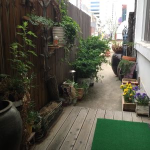 Rooftop garden! at Dajeon Cafe in Busan