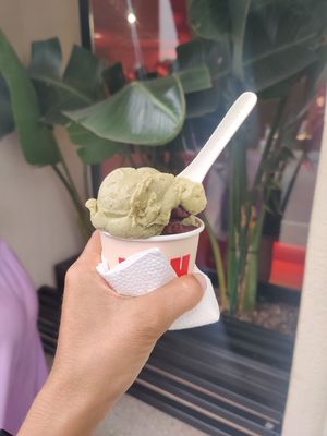Pistache chocolat at LOU (glace) in La Marsa
