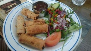 vegan vegetable spring rolls starter at The Golden Lion Pub in Winchester