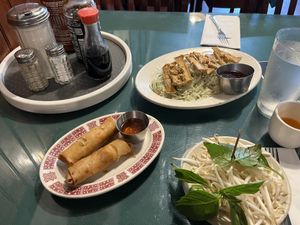 Rolls and Tofu Salad  at Pho Saigon in Springfield