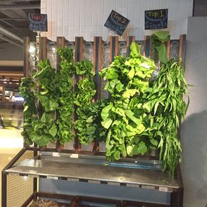 Veggie wall  at Vege Creek 蔬河 - Eslite DunNan in Taipei