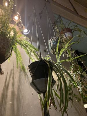   at BioToko in Zutphen