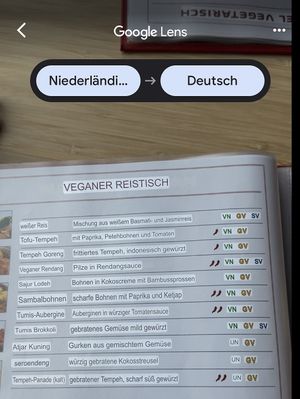 Übersetzung mit Google: Speisekarte vegane Reisgerichte  at BioToko in Zutphen