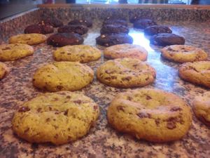 Vegan cookies at Ghiotto Take-Away in Verona