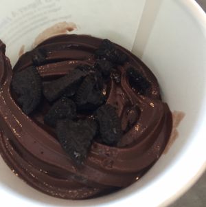 Vegan Frozen Yogurt at Active Culture in San Clemente