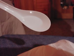 Pho spoon at Lime and Basil in Chapel Hill