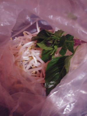 Toppings for pho at Lime and Basil in Chapel Hill