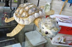 counter at Vegan Art in Naples