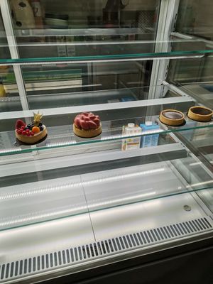 wow at Vegan Art in Naples