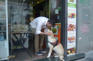 Ricky (sp?) the puppy. at Vegan Art in Naples