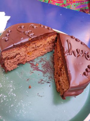 Sacher at Vegan Art in Naples