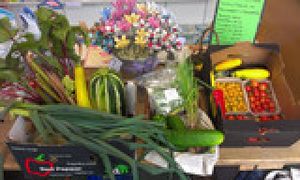 All-natural, local organic produce, tasty and good for you at Small Changes in Drumcondra